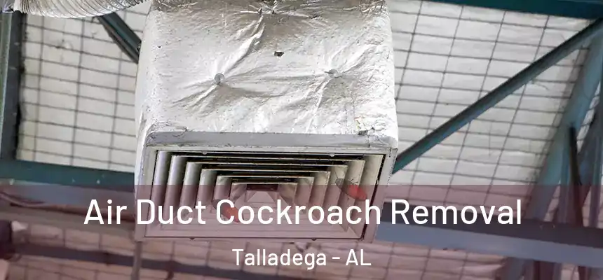  Air Duct Cockroach Removal Talladega - AL