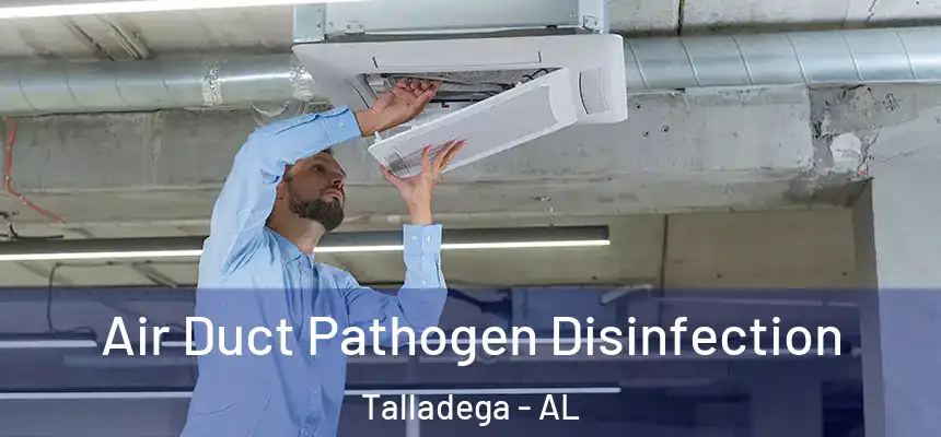  Air Duct Pathogen Disinfection Talladega - AL