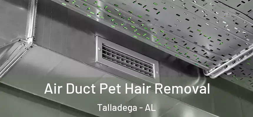  Air Duct Pet Hair Removal Talladega - AL