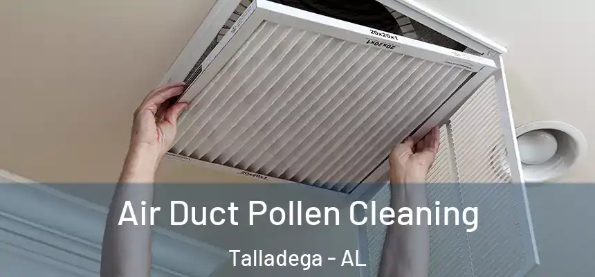  Air Duct Pollen Cleaning Talladega - AL