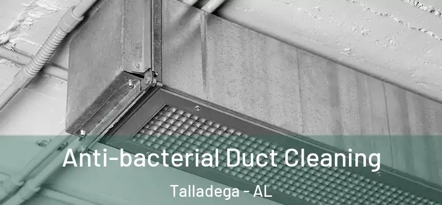  Anti-bacterial Duct Cleaning Talladega - AL