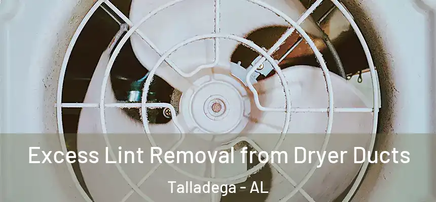 Excess Lint Removal from Dryer Ducts Talladega - AL