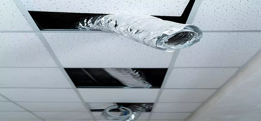 Our Air Duct Pet Hair Removal Services in Talladega, AL