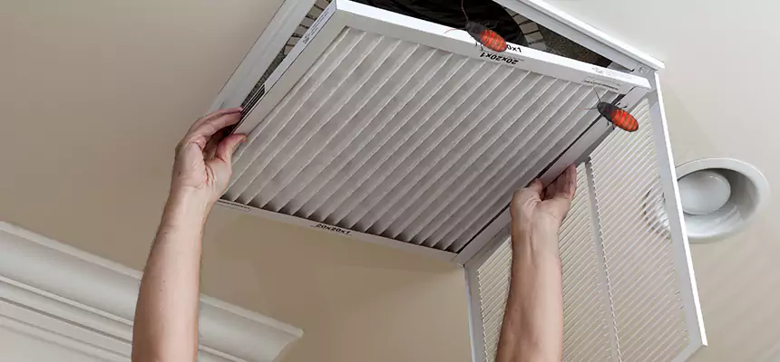 Our Insect Removal from Air Ducts Services in Talladega, AL
