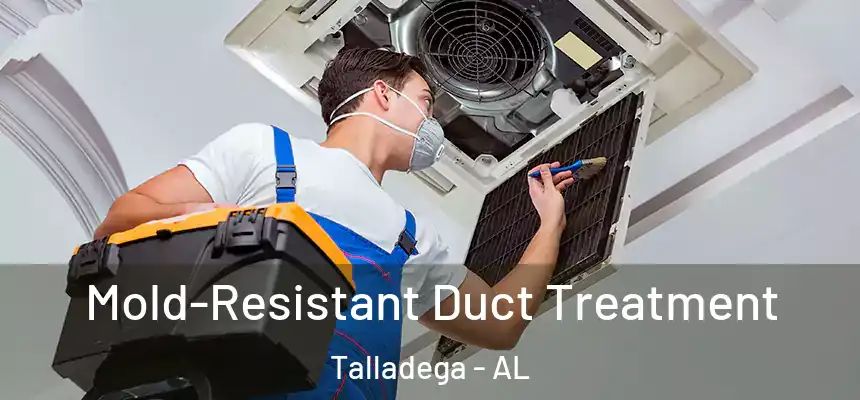  Mold-Resistant Duct Treatment Talladega - AL