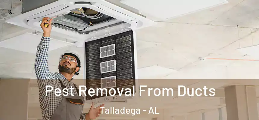  Pest Removal From Ducts Talladega - AL