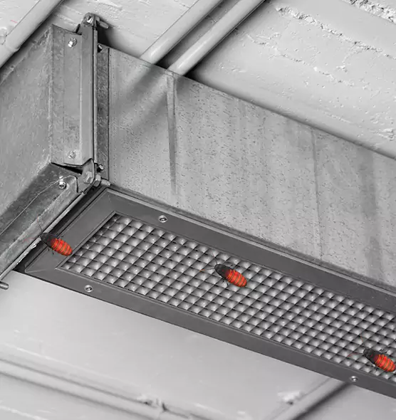 Affordable Insect Removal from Air Ducts in Talladega, AL