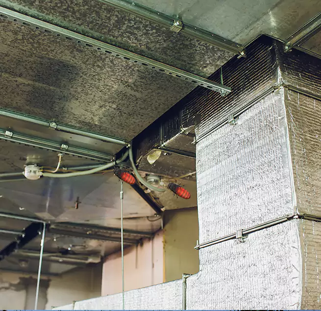 Why Homeowners & Businesses Trust Us in Talladega, AL?