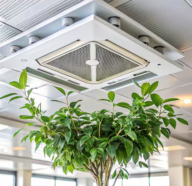 Why Homeowners & Businesses Trust Us in Talladega, AL