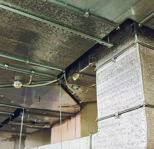 Why Homeowners & Businesses Trust Us in Talladega, AL?