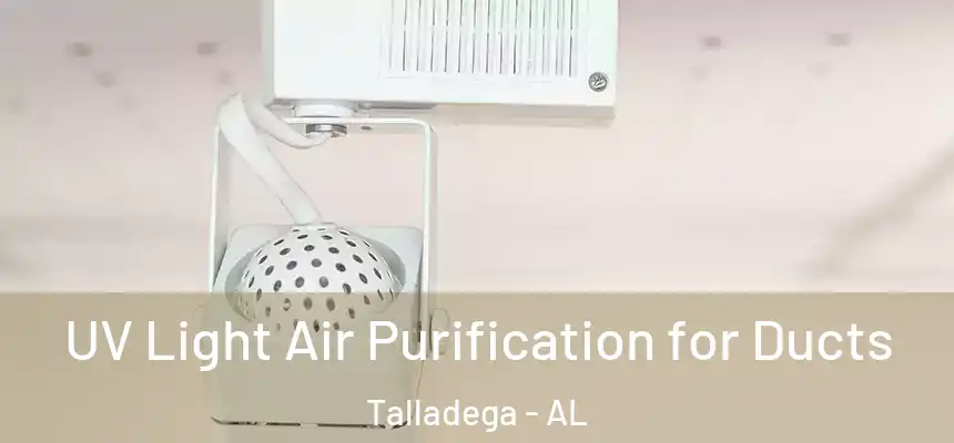  UV Light Air Purification for Ducts Talladega - AL